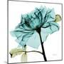 Teal Rose-Albert Koetsier-Mounted Art Print