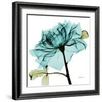 Teal Rose-Albert Koetsier-Framed Art Print