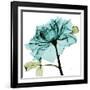 Teal Rose-Albert Koetsier-Framed Premium Giclee Print