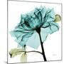 Teal Rose-Albert Koetsier-Mounted Premium Giclee Print