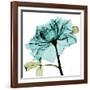 Teal Rose-Albert Koetsier-Framed Premium Giclee Print