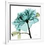 Teal Rose-Albert Koetsier-Framed Art Print