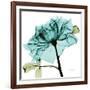 Teal Rose-Albert Koetsier-Framed Art Print