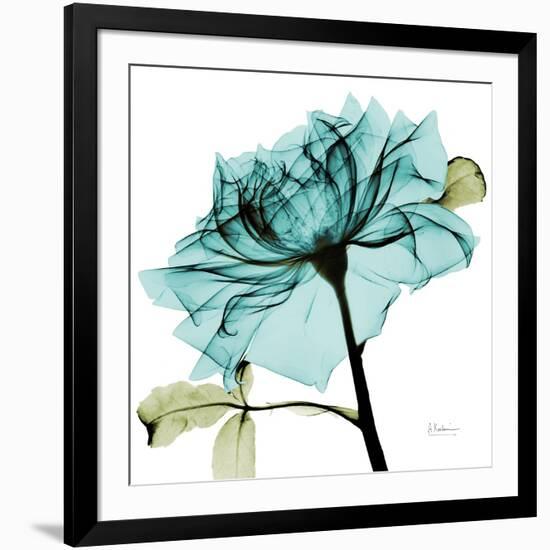 Teal Rose-Albert Koetsier-Framed Art Print