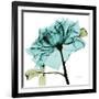 Teal Rose-Albert Koetsier-Framed Art Print