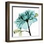 Teal Rose-Albert Koetsier-Framed Art Print