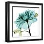 Teal Rose-Albert Koetsier-Framed Art Print