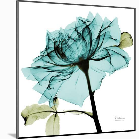 Teal Rose-Albert Koetsier-Mounted Art Print