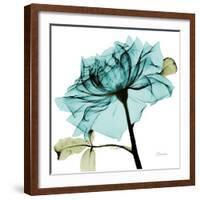 Teal Rose-Albert Koetsier-Framed Premium Giclee Print