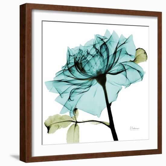 Teal Rose-Albert Koetsier-Framed Premium Giclee Print