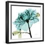 Teal Rose-Albert Koetsier-Framed Premium Giclee Print