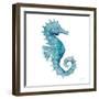 Teal Seahorse-Patti Bishop-Framed Art Print