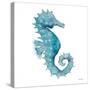 Teal Seahorse-Patti Bishop-Stretched Canvas