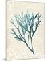 Teal Seaweed III-Grace Popp-Mounted Art Print
