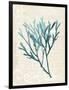 Teal Seaweed III-Grace Popp-Framed Art Print
