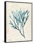 Teal Seaweed III-Grace Popp-Framed Stretched Canvas