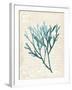 Teal Seaweed III-Grace Popp-Framed Art Print