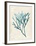 Teal Seaweed III-Grace Popp-Framed Art Print