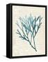 Teal Seaweed III-Grace Popp-Framed Stretched Canvas