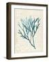 Teal Seaweed III-Grace Popp-Framed Art Print