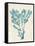 Teal Seaweed V-Grace Popp-Framed Stretched Canvas