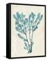 Teal Seaweed V-Grace Popp-Framed Stretched Canvas