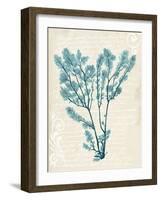 Teal Seaweed V-Grace Popp-Framed Art Print