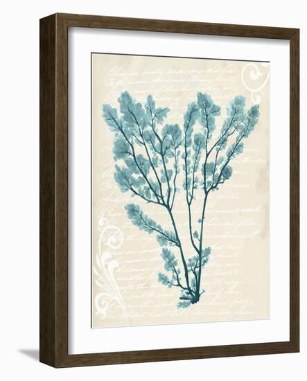 Teal Seaweed V-Grace Popp-Framed Art Print