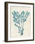 Teal Seaweed V-Grace Popp-Framed Art Print