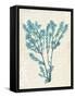 Teal Seaweed V-Grace Popp-Framed Stretched Canvas