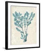 Teal Seaweed V-Grace Popp-Framed Art Print