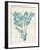 Teal Seaweed V-Grace Popp-Framed Art Print