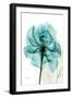 Teal Spirit Rose-Albert Koetsier-Framed Art Print