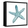 Teal Starfish-Patti Bishop-Framed Stretched Canvas