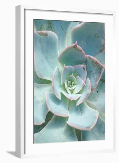 Teal Succulent Vertical-Susan Bryant-Framed Art Print