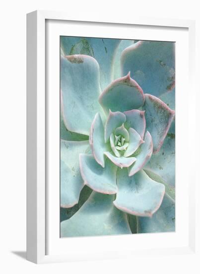 Teal Succulent Vertical-Susan Bryant-Framed Art Print