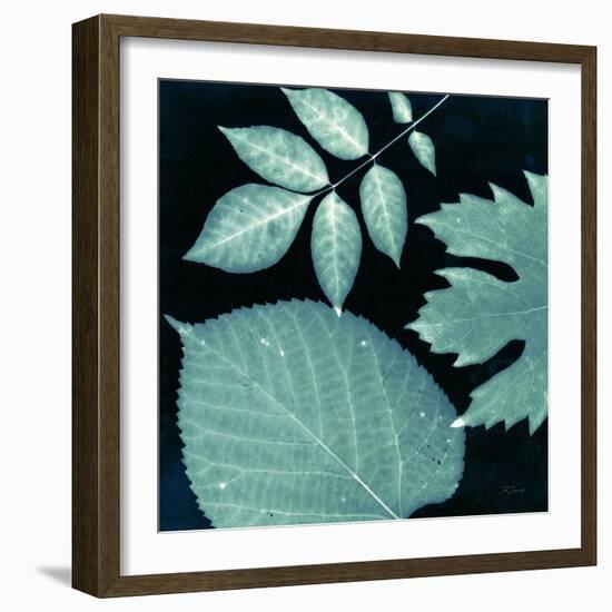 Teal Sunprint Leaves-Dan Zamudio-Framed Art Print