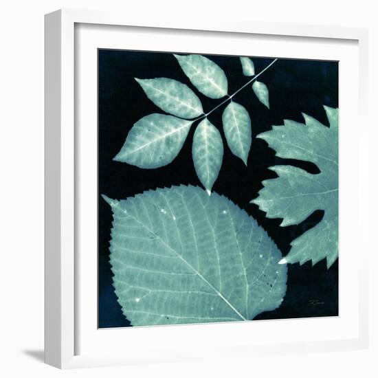 Teal Sunprint Leaves-Dan Zamudio-Framed Art Print