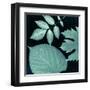 Teal Sunprint Leaves-Dan Zamudio-Framed Art Print