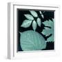 Teal Sunprint Leaves-Dan Zamudio-Framed Art Print