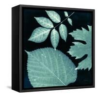 Teal Sunprint Leaves-Dan Zamudio-Framed Stretched Canvas