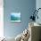 Teal Surf II-Nicholas Biscardi-Mounted Art Print displayed on a wall