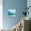 Teal Surf II-Nicholas Biscardi-Stretched Canvas displayed on a wall