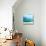 Teal Surf II-Nicholas Biscardi-Stretched Canvas displayed on a wall