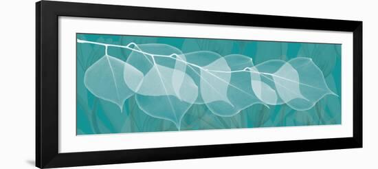 Teal Xray 3-Albert Koetsier-Framed Art Print