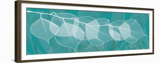 Teal Xray 3-Albert Koetsier-Framed Premium Giclee Print