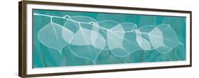 Teal Xray 3-Albert Koetsier-Framed Premium Giclee Print