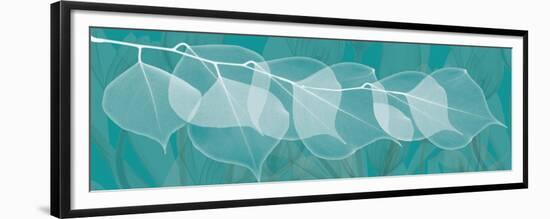 Teal Xray 3-Albert Koetsier-Framed Premium Giclee Print