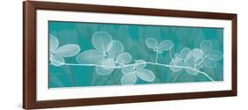 Teal Xray 4-Albert Koetsier-Framed Art Print