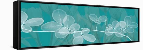 Teal Xray 4-Albert Koetsier-Framed Stretched Canvas